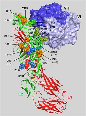 Genome-Wide Approaches to Unravel the Host Factors Involved in Chikungunya Virus Replication